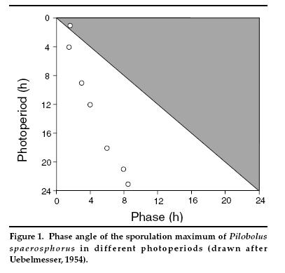 a10 pilobolus photoperiodism
