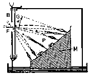 a8 pilobolus pinhole experiment