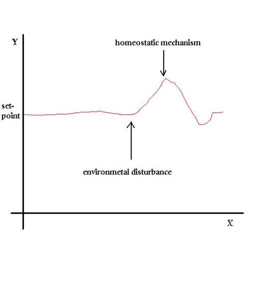 Homeostasis-Fig